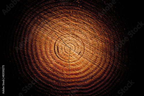 Baumstamm mit Jahrsringen