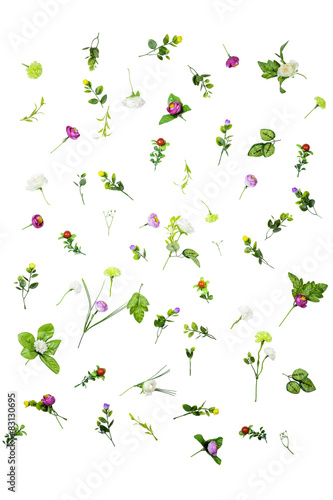 Wallpaper Mural set of spring flowers isolated on white background Torontodigital.ca