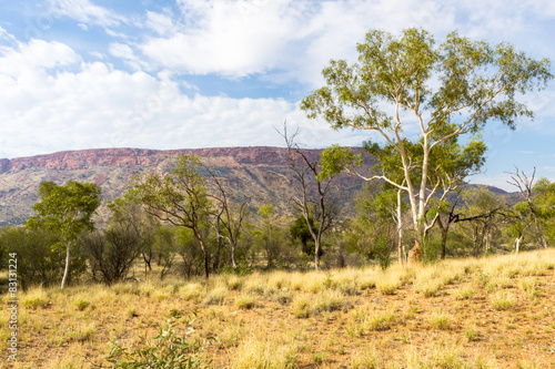 Alice Springs in Northern Territory  Australia