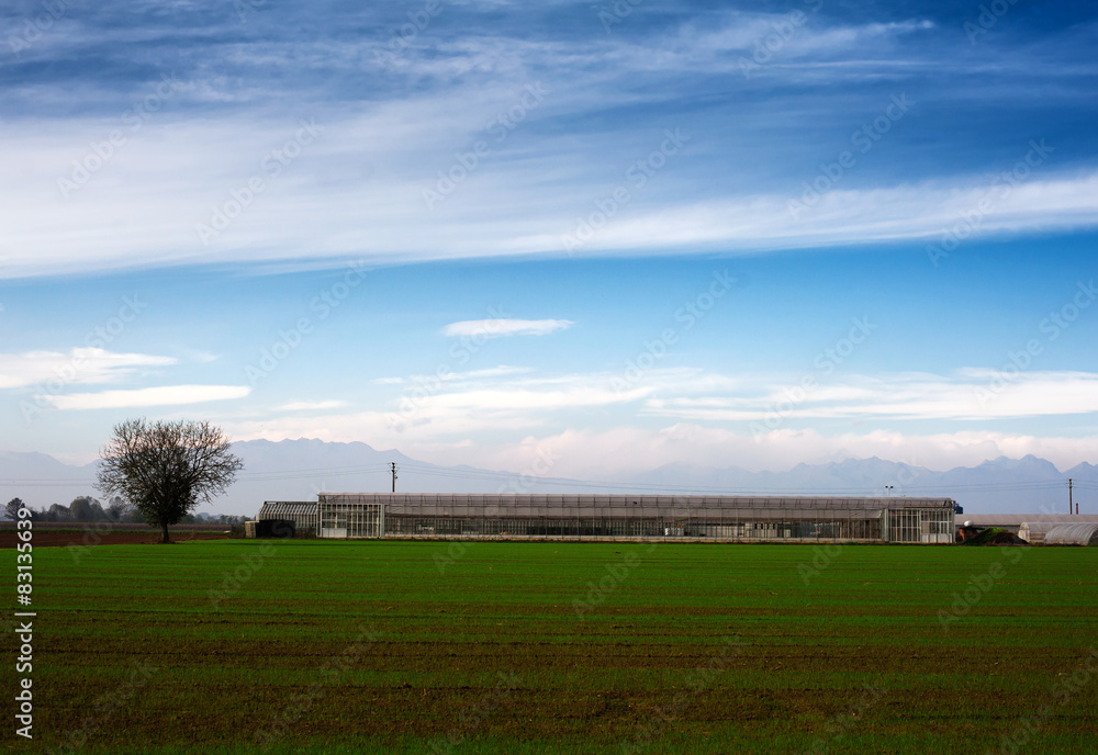 Obraz premium Tuscany - typical scenic landscape, Italy