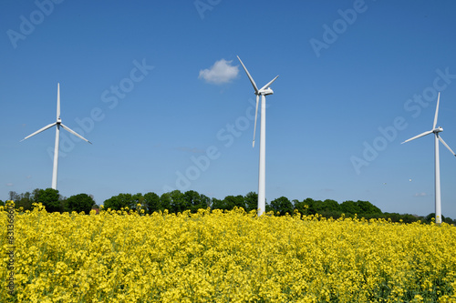 Wind turbines in a field of rapeseed plants