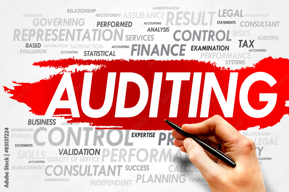 AUDITING word cloud, business concept