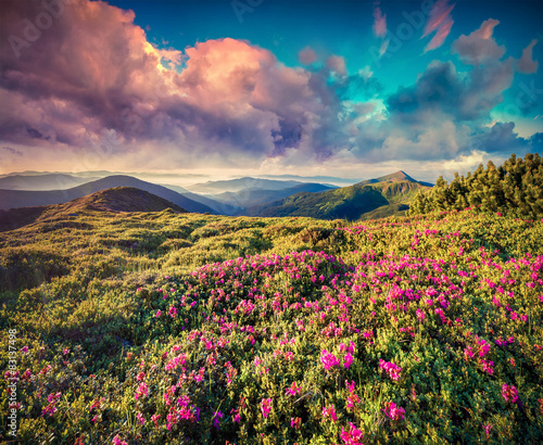 Colorful summer sunrise in the mountains © Andrew Mayovskyy