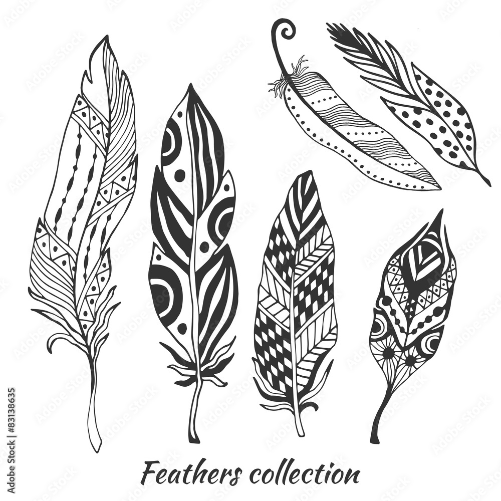 Hand drawn stylized feathers vector collection. Set of doodle Stock ...