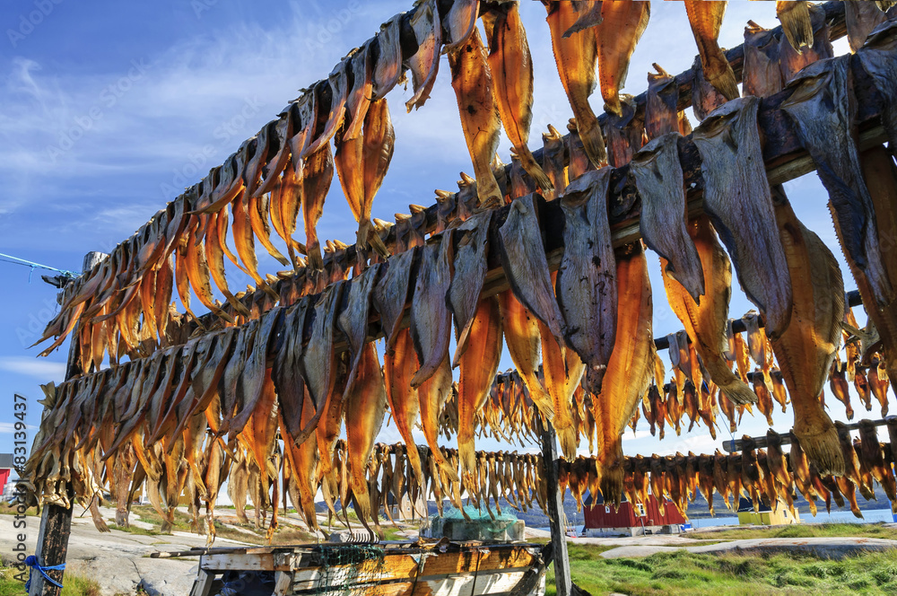 Dried fish in Rodebay settlement, Greenland - obrazy, fototapety, plakaty 