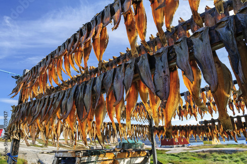 Dried fish in Rodebay settlement, Greenland