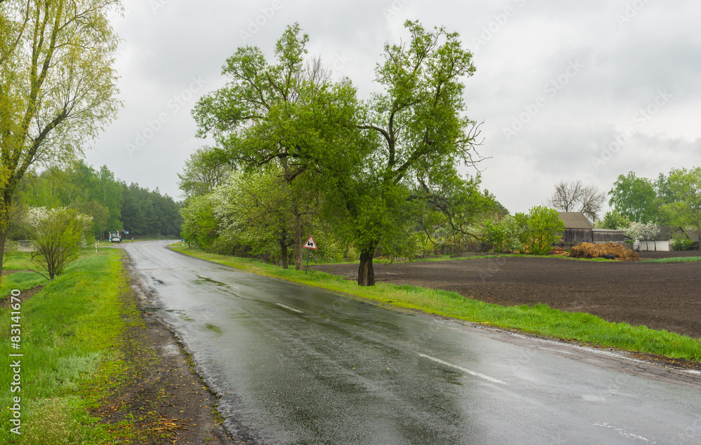 Wet spring in rural area, central Ukraine