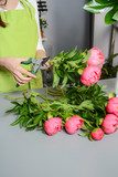 close up hands young woman florist cutting flowers
