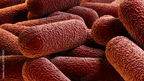 Crowd of rod-shaped bacteria photo