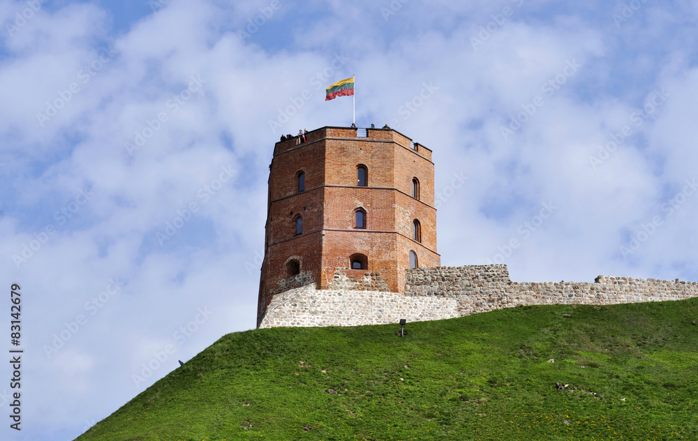 The Gediminas' Tower in Vilnius The Gediminas' Tower in Vilnius