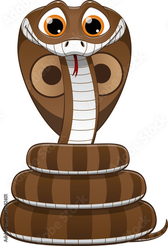 cute baby cobra