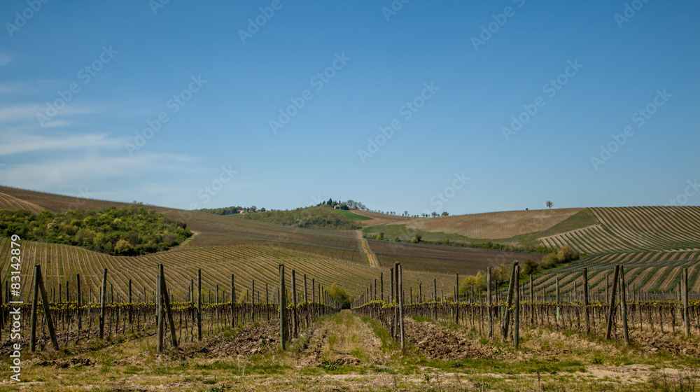 Fototapeta premium Toskana Chianti Landschaft