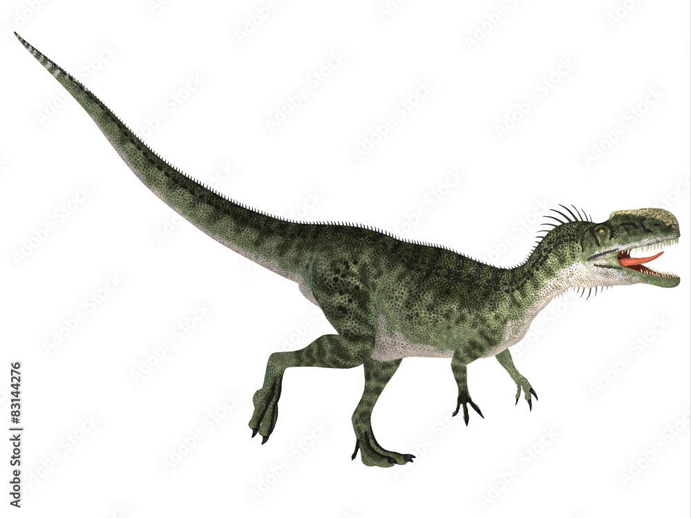 Monolophosaurus over White Monolophosaurus over White