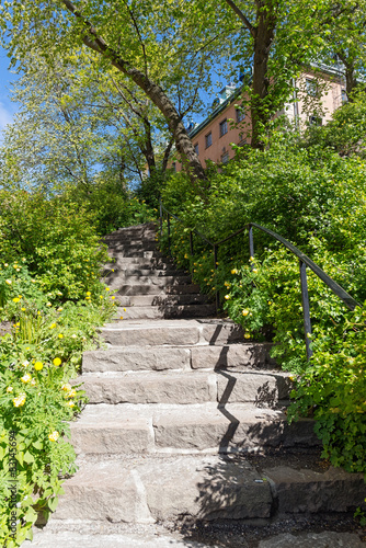 Stone stairs at a green park during spring