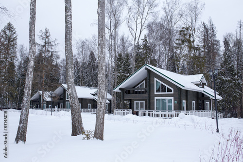 Wooden cottages in winter with birches on foreground © idea_studio