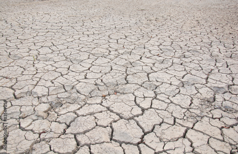 Dry land. Cracked ground background. Dry land. Cracked ground background.