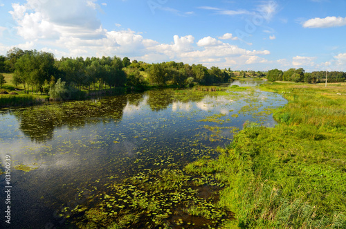 Fototapeta Naklejka Na Ścianę i Meble -  Rural river landscape