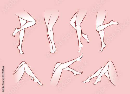 Vector woman legs