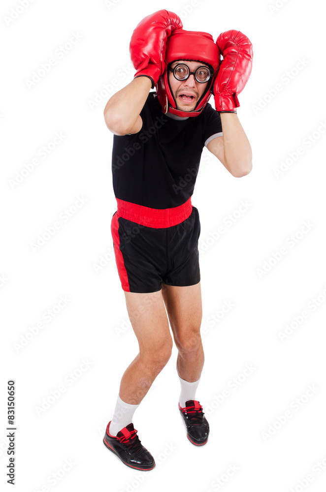Funny boxer isolated on the white Funny boxer isolated on the white