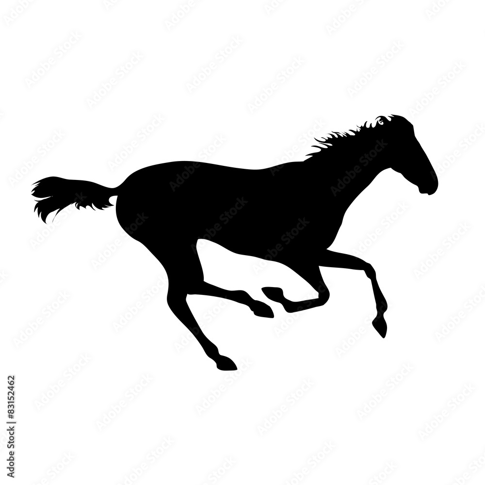 Naklejka silhouette of a horse