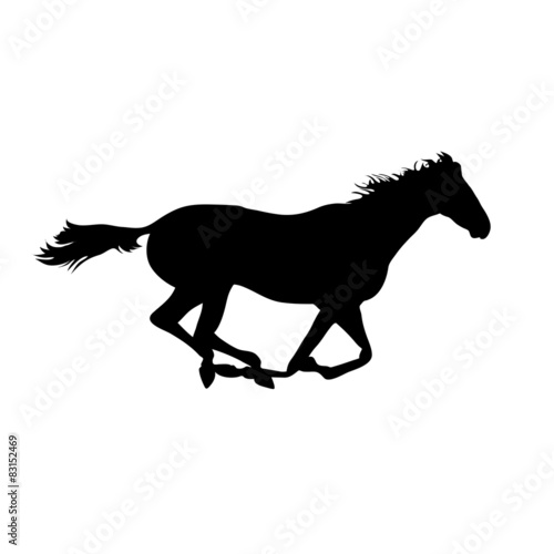 silhouette of a horse