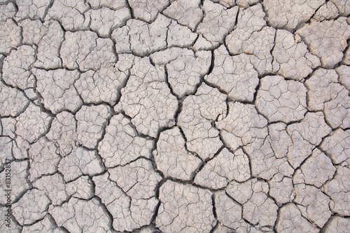 Dry land. Cracked ground background.