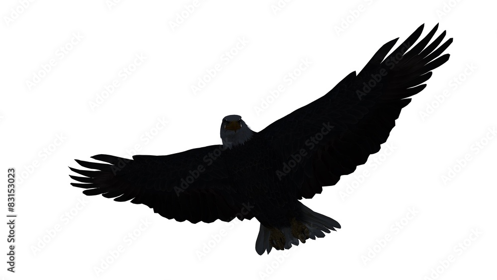 Naklejka premium eagle - isolated on white background 