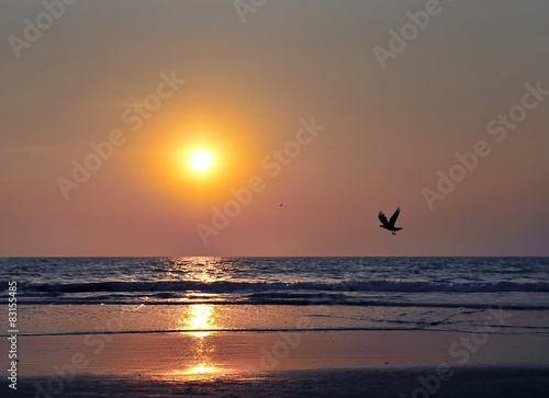 Sunset over the ocean and a silhouette of flying crow © FedotovAnatoly