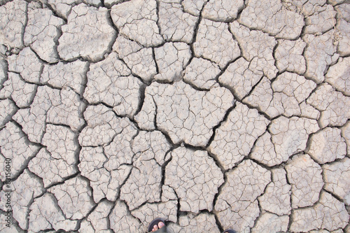 Dry land. Cracked ground background.