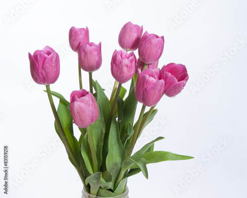 Profile view of pink tulips