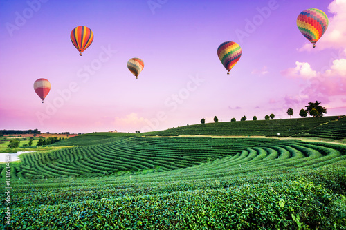 Colorful hot air balloons flying over tea plantation landscape 