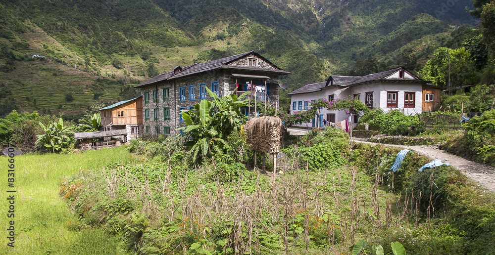 village village