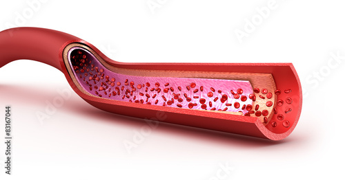 Photos Blood vessel sliced macro with erythrocytes. Isolated on white