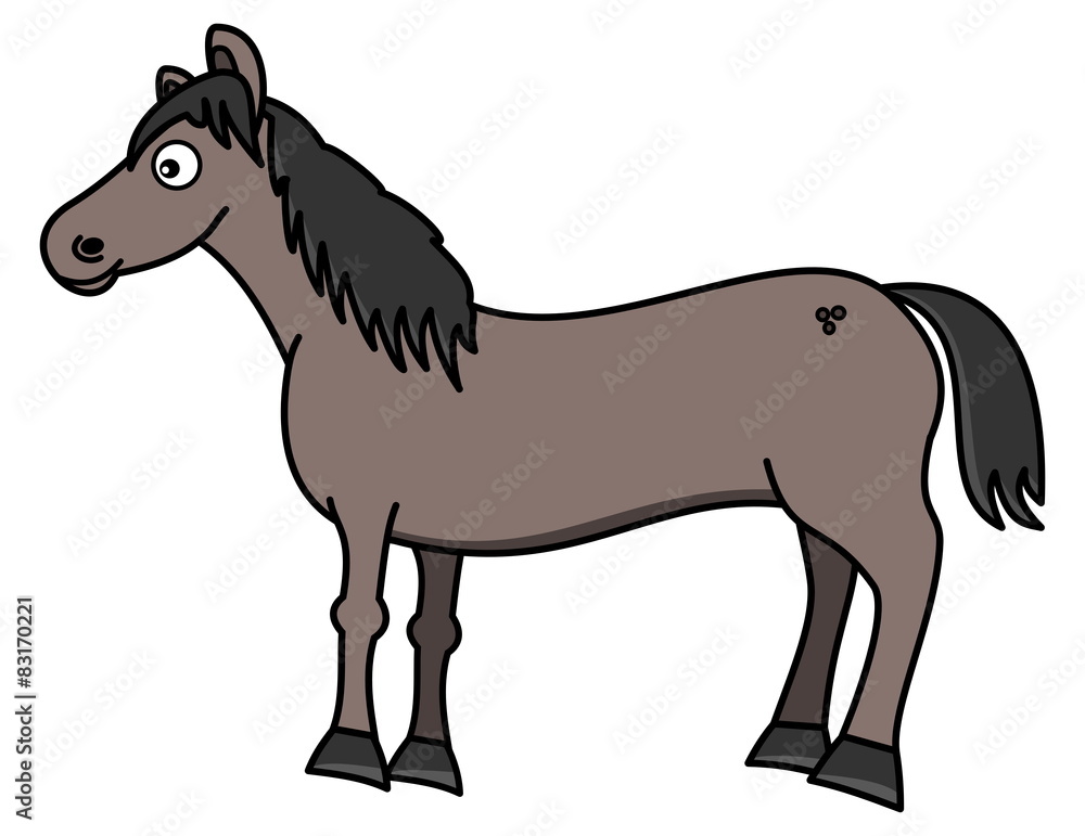 Obraz premium a beautiful grey horse 