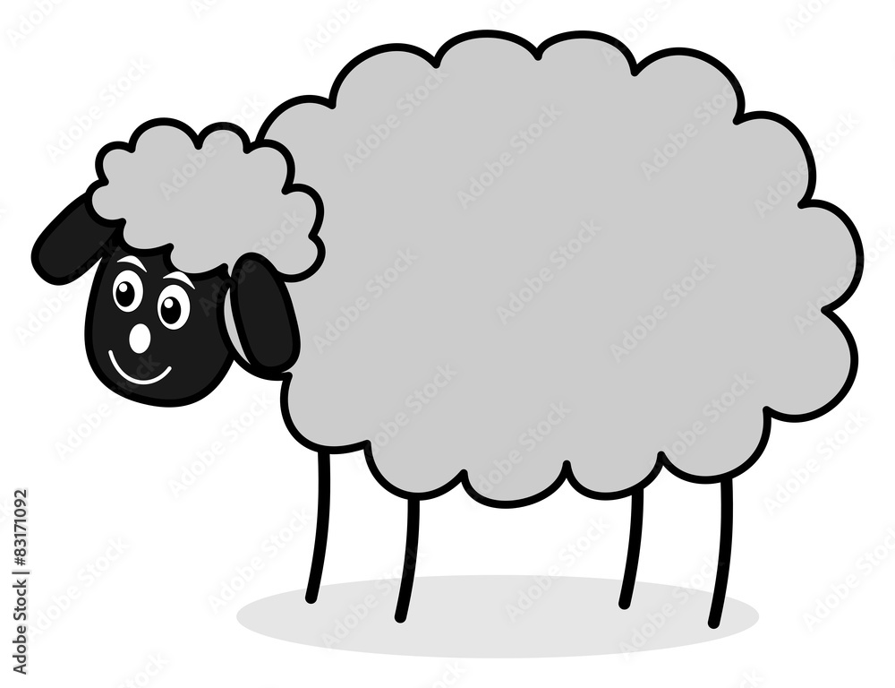 a grey sheep
a grey sheep