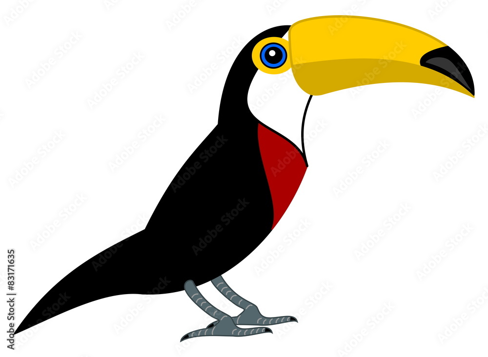 Fototapeta premium a parrot toucan's profile