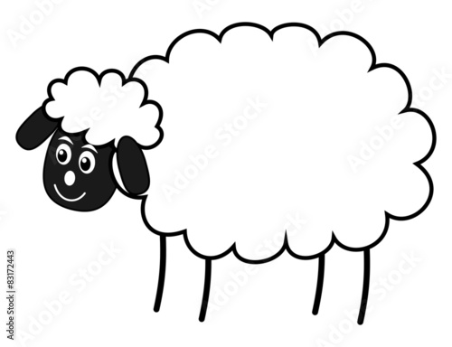 a white sheep
