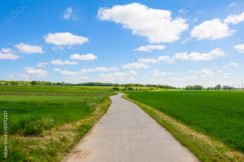 Bike Way Lake Neusiedl