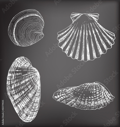 Shells