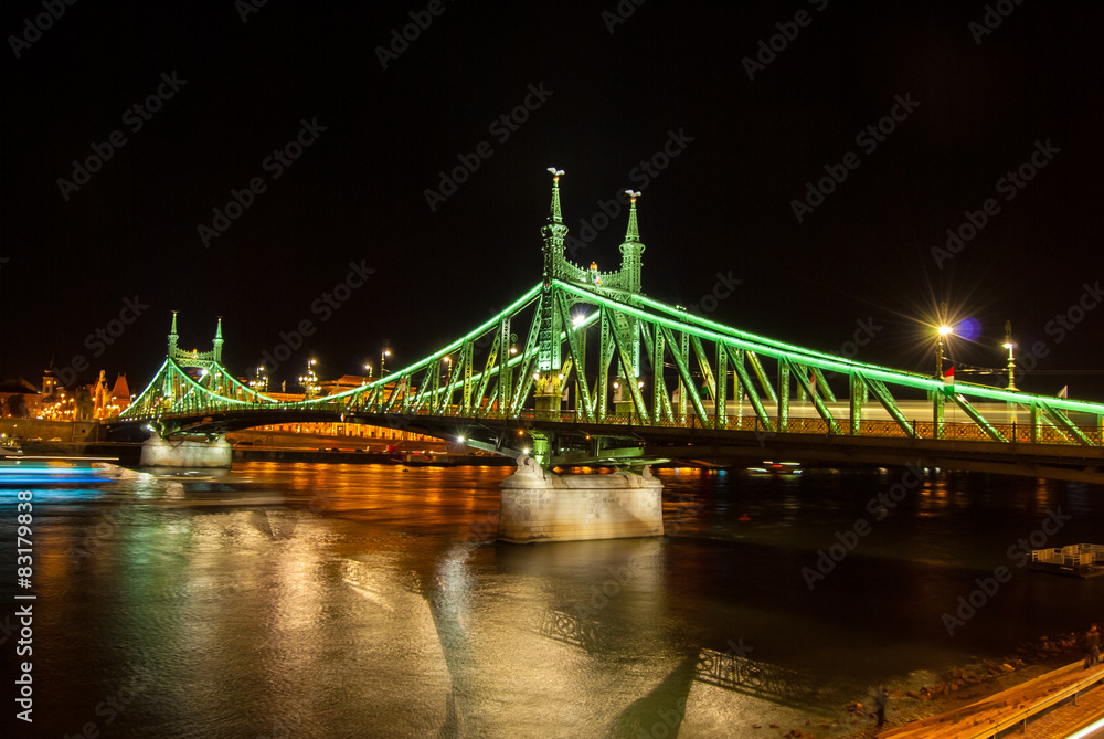 Obraz premium Liberty bridge in Budapest