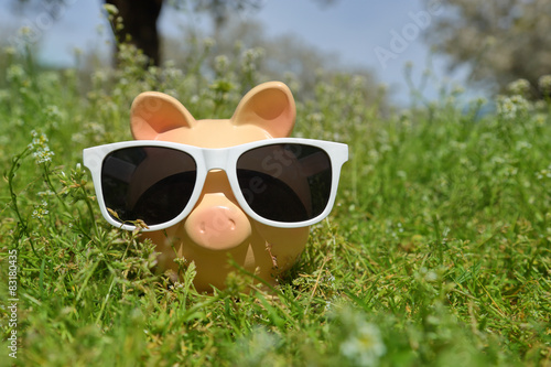 Piggy bank with sunglasses outdoors in nature,closeup background © viperagp