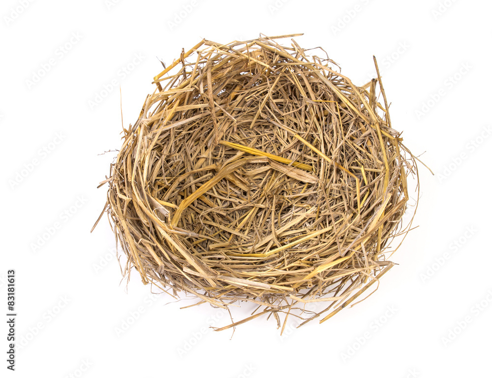 Empty straw nest with twigs on a white background