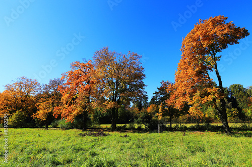 Beautiful autumn Landscape from the central Bohemia