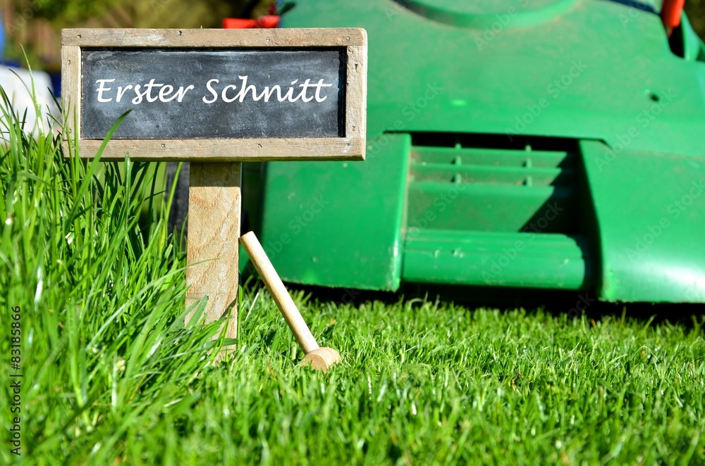 Rasen erster Schnitt StockFoto Adobe Stock