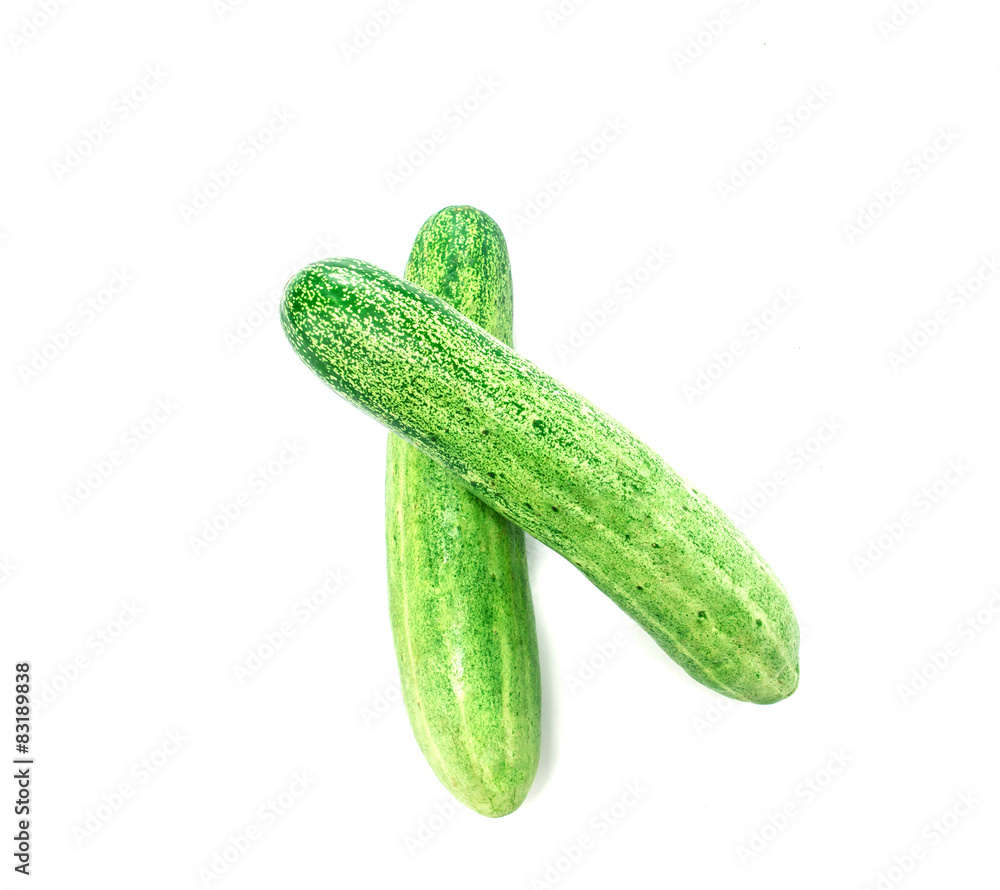 Cucumber on white background Cucumber on white background