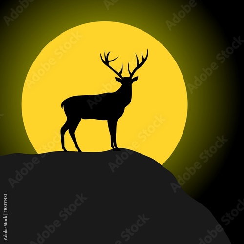 Deer and Moon