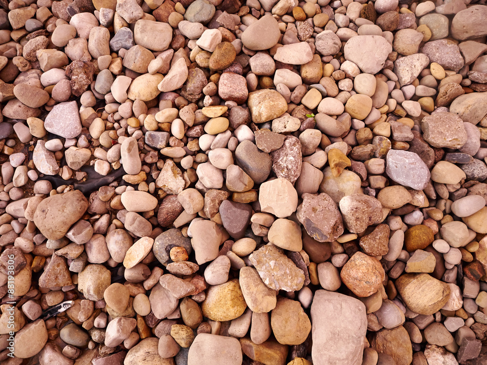 Close Up of Rocks on the ground Close Up of Rocks on the ground