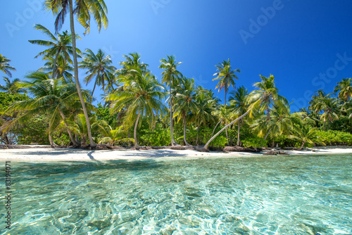 tropischer Strand © Loocid GmbH