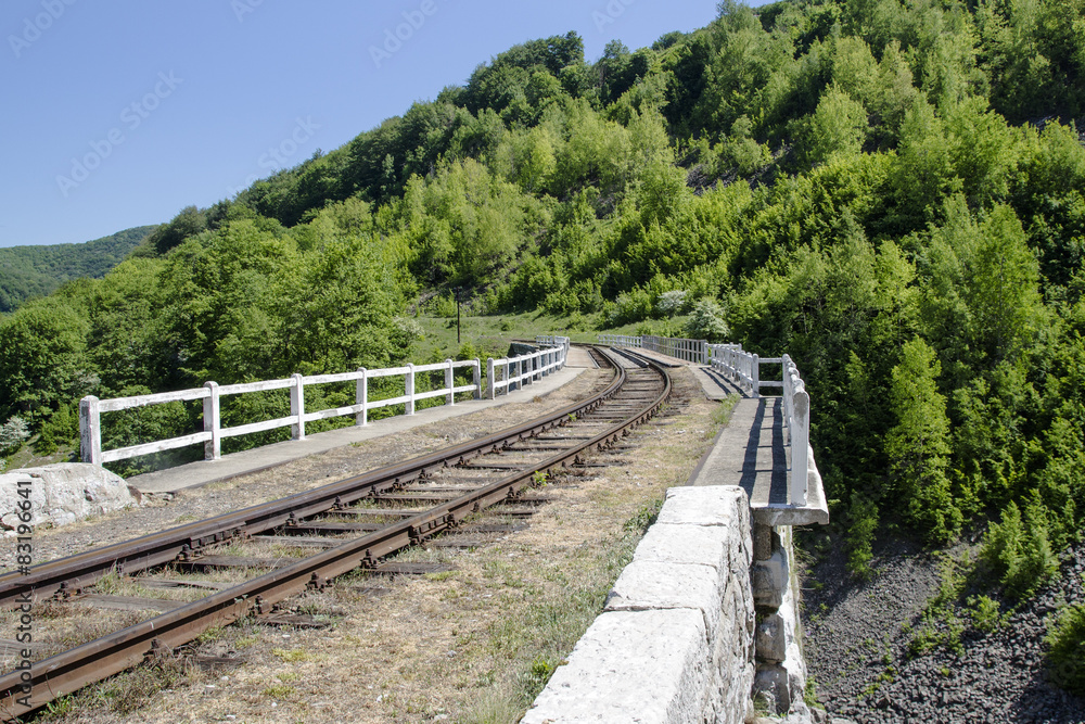 Fototapeta premium Bahnbrücke