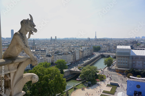 Gargoyle on Notre Dame Cathedral and view on Paris